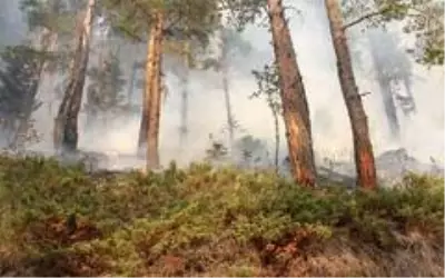 Kastamonu'da iki farklı noktada 3 gündür devam eden orman yangını söndürülemiyor Kastamonu'da iki farklı noktada 3 gündür devam eden orman yangını söndürülemiyor