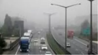 Kocaeli'de sis hayatı olumsuz etkiledi Kocaeli'de sis hayatı olumsuz etkiledi