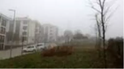 Kocaeli'de sis hayatı olumsuz etkiledi Kocaeli'de sis hayatı olumsuz etkiledi