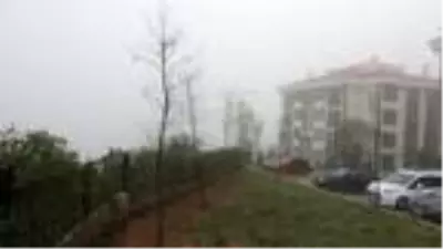 Kocaeli'de sis hayatı olumsuz etkiledi Kocaeli'de sis hayatı olumsuz etkiledi