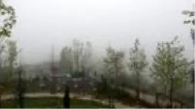 Kocaeli'de sis hayatı olumsuz etkiledi Kocaeli'de sis hayatı olumsuz etkiledi