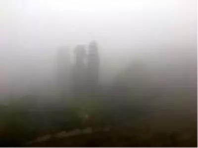 Kocaeli'de sis hayatı olumsuz etkiledi Kocaeli'de sis hayatı olumsuz etkiledi