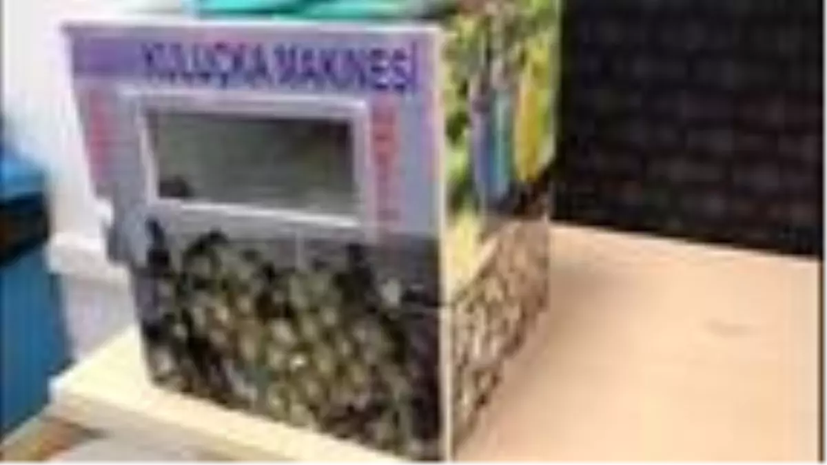 Kuluçka makinesinden kaçak sigara çıktı