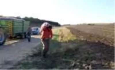 Kuraklık ve iklim şartları, üreticinin ekim dönemini değiştirdi Kuraklık ve iklim şartları, üreticinin ekim dönemini değiştirdi