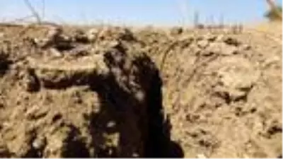 Kuraklık ve iklim şartları, üreticinin ekim dönemini değiştirdi Kuraklık ve iklim şartları, üreticinin ekim dönemini değiştirdi