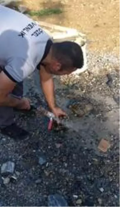 Kuyuya düşen kaplumbağaları güvenlik görevlileri kurtardı Kuyuya düşen kaplumbağaları güvenlik görevlileri kurtardı