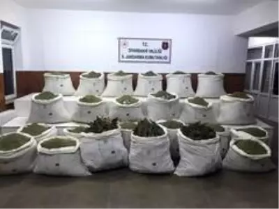 Diyarbakır'da 877 kilogram esrar ele geçirildi Diyarbakır'da 877 kilogram esrar ele geçirildi