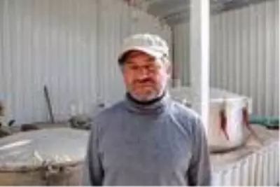 Lisinia'da 20 milyon lavanta ve adaçayı fidesi üretilecek Lisinia'da 20 milyon lavanta ve adaçayı fidesi üretilecek