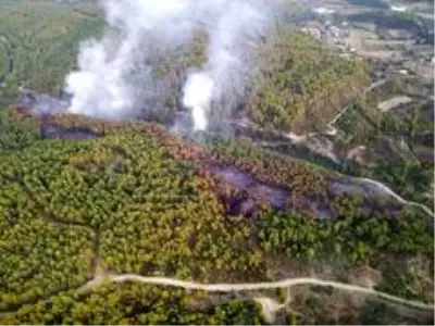 Manavgat'taki orman yangını kontrol altına alındı Manavgat'taki orman yangını kontrol altına alındı