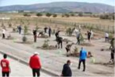 Sivasspor 1967 fidan dikti Sivasspor 1967 fidan dikti