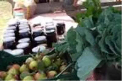 Ordu'nun 14 yıllık organik ürün pazarına ilgi arttı Ordu'nun 14 yıllık organik ürün pazarına ilgi arttı