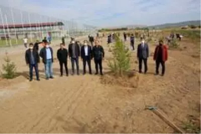 Sivasspor 1967 fidan dikti Sivasspor 1967 fidan dikti
