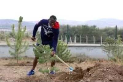 Sivasspor 1967 fidan dikti Sivasspor 1967 fidan dikti