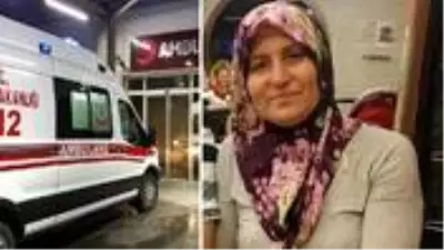 Süt sağarken elektrik akımına kapılan kadın feci şekilde can verdi Süt sağarken elektrik akımına kapılan kadın feci şekilde can verdi