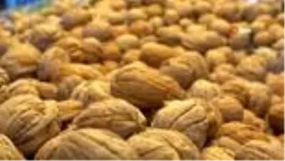 Tezgahlarda geçen yılın fiyatıyla yerini alan cevize rağbet büyük Tezgahlarda geçen yılın fiyatıyla yerini alan cevize rağbet büyük