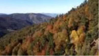 Tokat'ta sonbahar güzelliği Tokat'ta sonbahar güzelliği