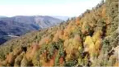 Tokat'ta sonbahar güzelliği Tokat'ta sonbahar güzelliği