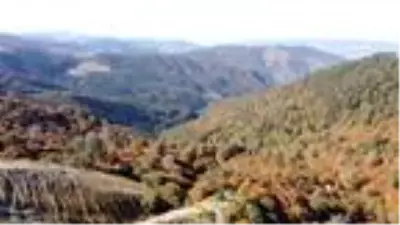 Tokat'ta sonbahar güzelliği Tokat'ta sonbahar güzelliği