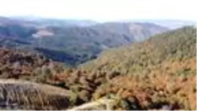 Tokat'ta sonbahar güzelliği Tokat'ta sonbahar güzelliği