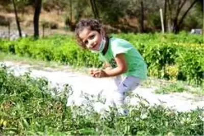 Üreğil Millet Bahçesi tarım alanı halka açıldı Üreğil Millet Bahçesi tarım alanı halka açıldı