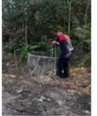 Son dakika: 30 metrelik kuyuya düşen tilki kurtarıldı Son dakika: 30 metrelik kuyuya düşen tilki kurtarıldı