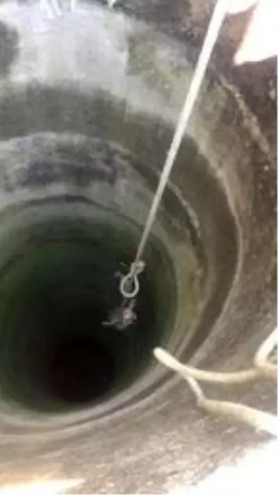 Son dakika: 30 metrelik kuyuya düşen tilki kurtarıldı Son dakika: 30 metrelik kuyuya düşen tilki kurtarıldı