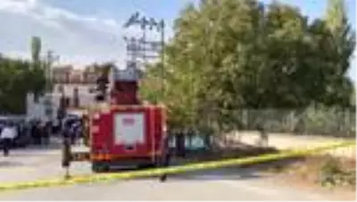 Son dakika... Ceviz toplarken elektrik akımına kapılan kişi öldü Son dakika... Ceviz toplarken elektrik akımına kapılan kişi öldü