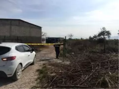 Son dakika haber... Ceyhan'da ağaç kesme kavgası: 2 ölü 4 yaralı Son dakika haber... Ceyhan'da ağaç kesme kavgası: 2 ölü 4 yaralı