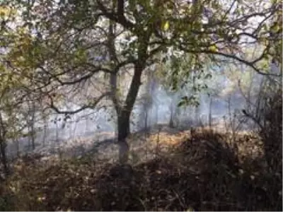 Çiftçi anız yakmak isterken, 10 dönüm arazi yandı Çiftçi anız yakmak isterken, 10 dönüm arazi yandı