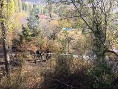 Çiftçi anız yakmak isterken, 10 dönüm arazi yandı Çiftçi anız yakmak isterken, 10 dönüm arazi yandı