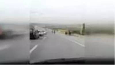 Son dakika haberi: Eyüpsultan'da başıboş atlar kamerada Son dakika haberi: Eyüpsultan'da başıboş atlar kamerada