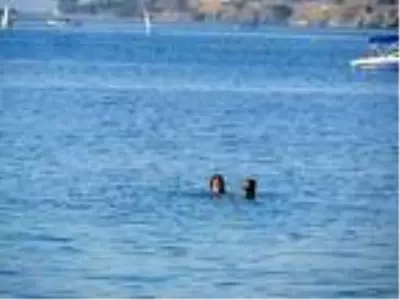 Foça'da vatandaşlar sıcak havanın tadını doyasıya çıkardı Foça'da vatandaşlar sıcak havanın tadını doyasıya çıkardı