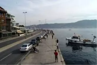 İstanbul sahillerinde maskesiz ve sosyal mesafesiz yoğunluk İstanbul sahillerinde maskesiz ve sosyal mesafesiz yoğunluk
