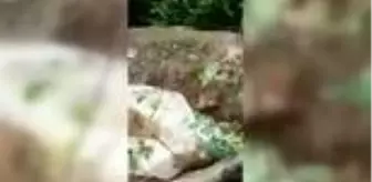 Kaçak Kazı: Son dakika haberi! İzinsiz kazı yaptıkları iddiasıyla 4 kişi gözaltına alındı Kaçak Kazı: Son dakika haberi! İzinsiz kazı yaptıkları iddiasıyla 4 kişi gözaltına alındı