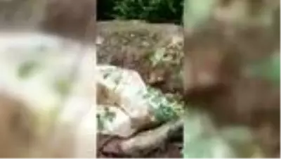 Son dakika haberi! İzinsiz kazı yaptıkları iddiasıyla 4 kişi gözaltına alındı Son dakika haberi! İzinsiz kazı yaptıkları iddiasıyla 4 kişi gözaltına alındı