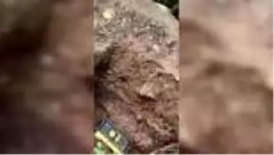 Son dakika haberi! İzinsiz kazı yaptıkları iddiasıyla 4 kişi gözaltına alındı Son dakika haberi! İzinsiz kazı yaptıkları iddiasıyla 4 kişi gözaltına alındı