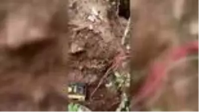 Son dakika haberi! İzinsiz kazı yaptıkları iddiasıyla 4 kişi gözaltına alındı Son dakika haberi! İzinsiz kazı yaptıkları iddiasıyla 4 kişi gözaltına alındı