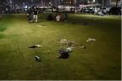 İzmir'de koronavirüs tedbirleri unutuldu, çevre duyarsızlığı şaşırttı İzmir'de koronavirüs tedbirleri unutuldu, çevre duyarsızlığı şaşırttı