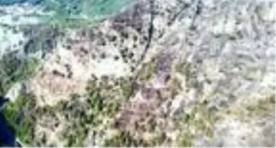 Kahramanmaraş'ta yıldırım isabet eden 15 hektar orman alanı yandı Kahramanmaraş'ta yıldırım isabet eden 15 hektar orman alanı yandı
