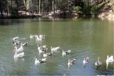 Kastamonu'da Dipsizgöl Tabiat Parkına 30 milyon TL'lik yatırım Kastamonu'da Dipsizgöl Tabiat Parkına 30 milyon TL'lik yatırım