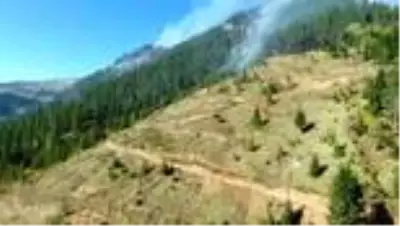 Kastamonu'daki orman yangınları Kastamonu'daki orman yangınları