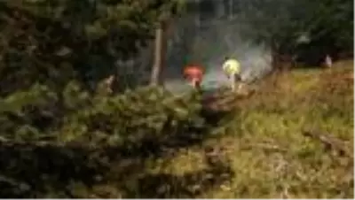 Kastamonu'daki orman yangınları Kastamonu'daki orman yangınları