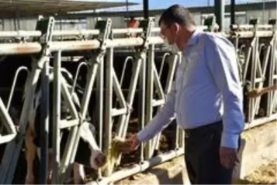 Kaymakam Şahin, Kocagür'deki çiftliği ziyaret etti Kaymakam Şahin, Kocagür'deki çiftliği ziyaret etti