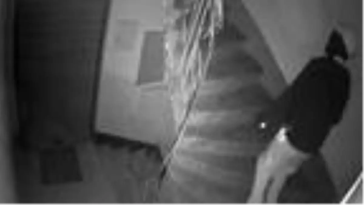 DHA İSTANBUL BÜLTENİ- 2