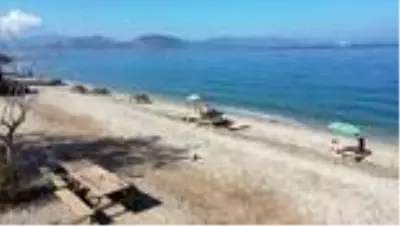 Narkotiğin hassas burnu Çayra emekli oldu