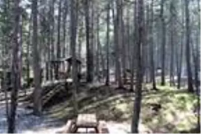 Otel yangınında tahrip olan Dipsizgöl Tabiat Parkı, eski görünümüne kavuştu Otel yangınında tahrip olan Dipsizgöl Tabiat Parkı, eski görünümüne kavuştu