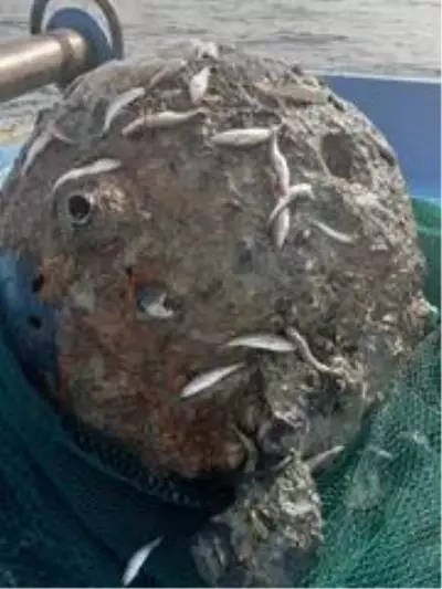 Rumeli Feneri açıklarında balıkçıların ağına mayın takıldı Rumeli Feneri açıklarında balıkçıların ağına mayın takıldı