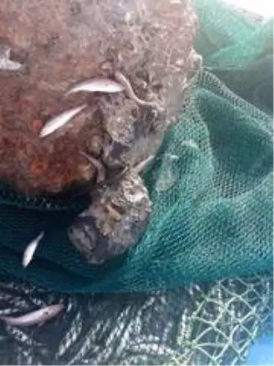 Rumeli Feneri açıklarında balıkçıların ağına mayın takıldı Rumeli Feneri açıklarında balıkçıların ağına mayın takıldı