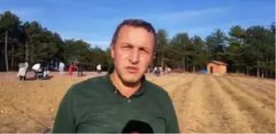 Safran tarlası turist akınına uğruyor Safran tarlası turist akınına uğruyor