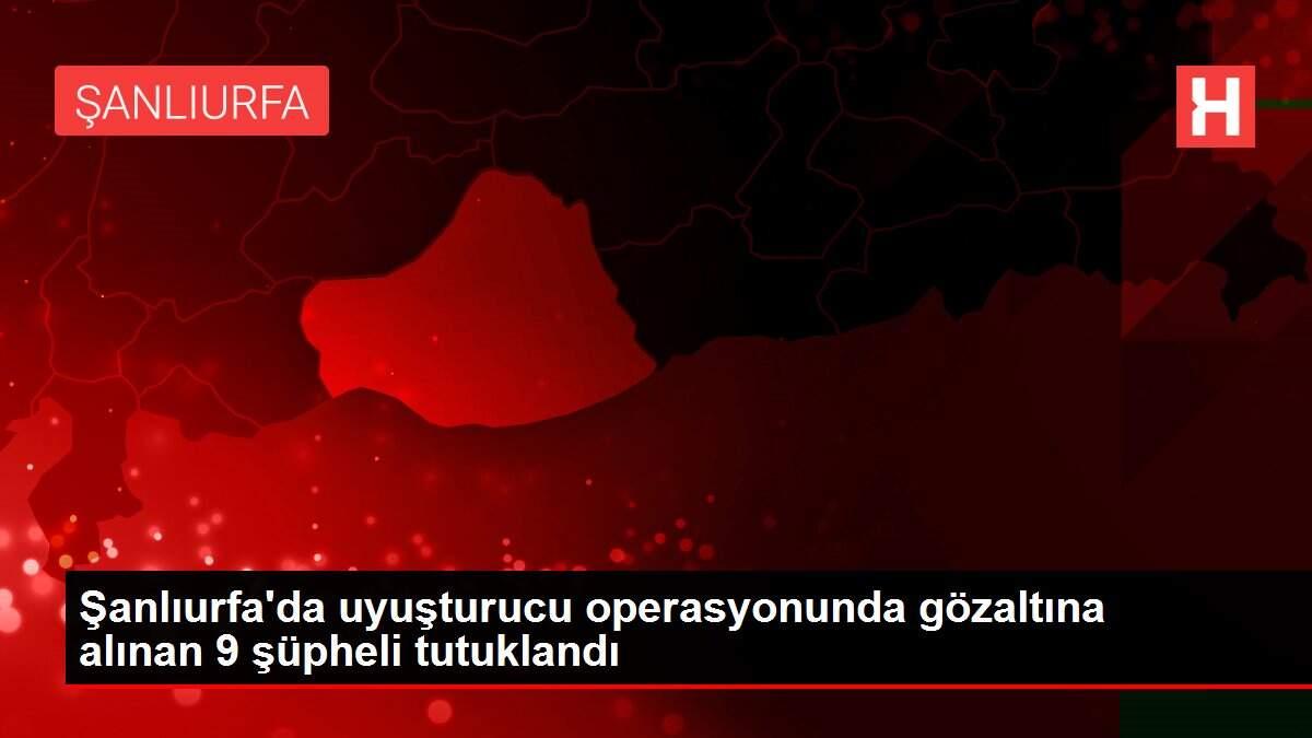 Son dakika haber | Şanlıurfa'da uyuşturucu operasyonunda gözaltına alınan 9 şüpheli tutuklandı